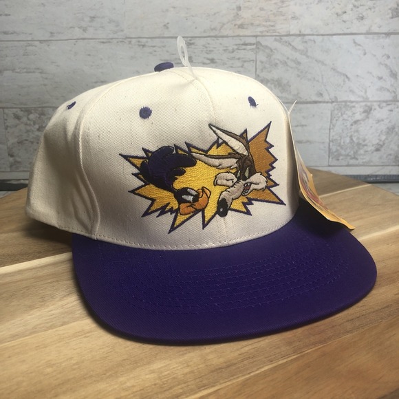 Looney Tunes Mania Other - 1994 Vintage Looney Tunes Wile E Coyote & Road Runner Embroidered Snapback Hat